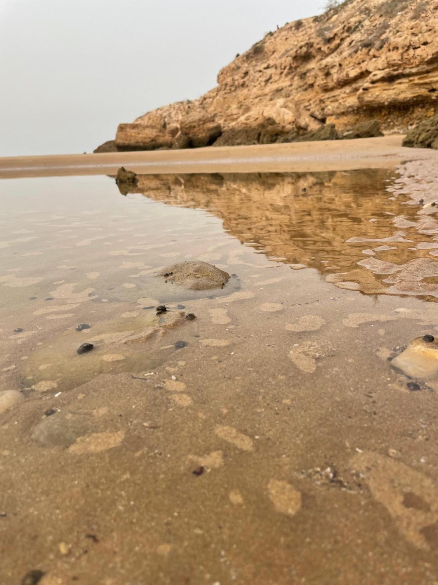 2 Appartements A Tamraght Taghazout Bay Surf Spot Aourir Εξωτερικό φωτογραφία